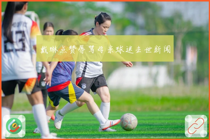 戴琳点赞辱骂母亲球迷去世新闻