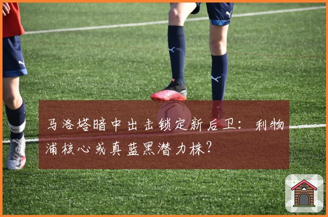 马洛塔暗中出击锁定新后卫：利物浦核心或真蓝黑潜力株？